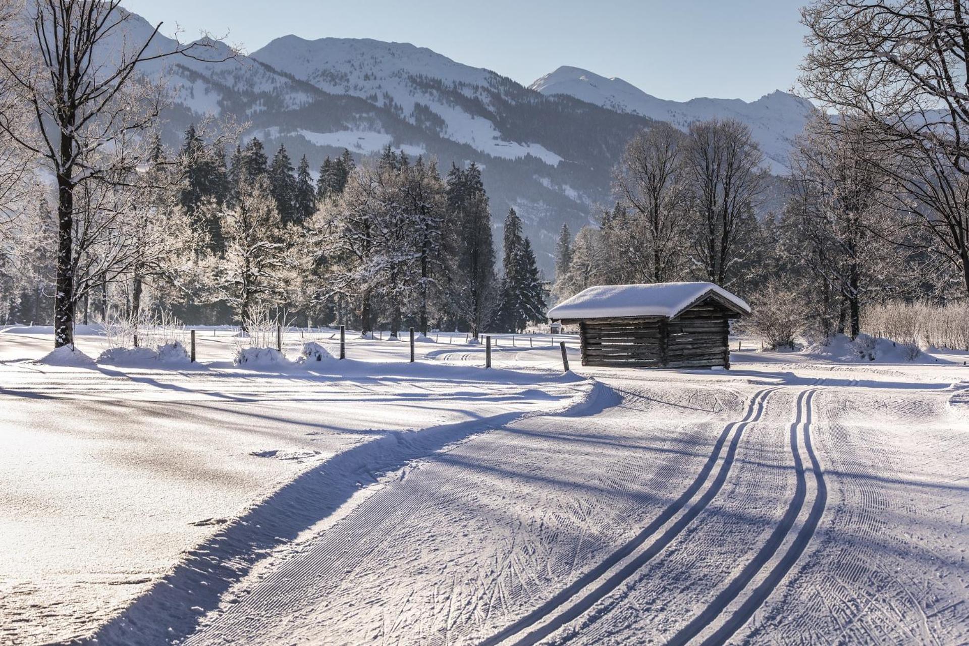 Pension Wolfsegg Kirchberg in Tirol Exterior photo